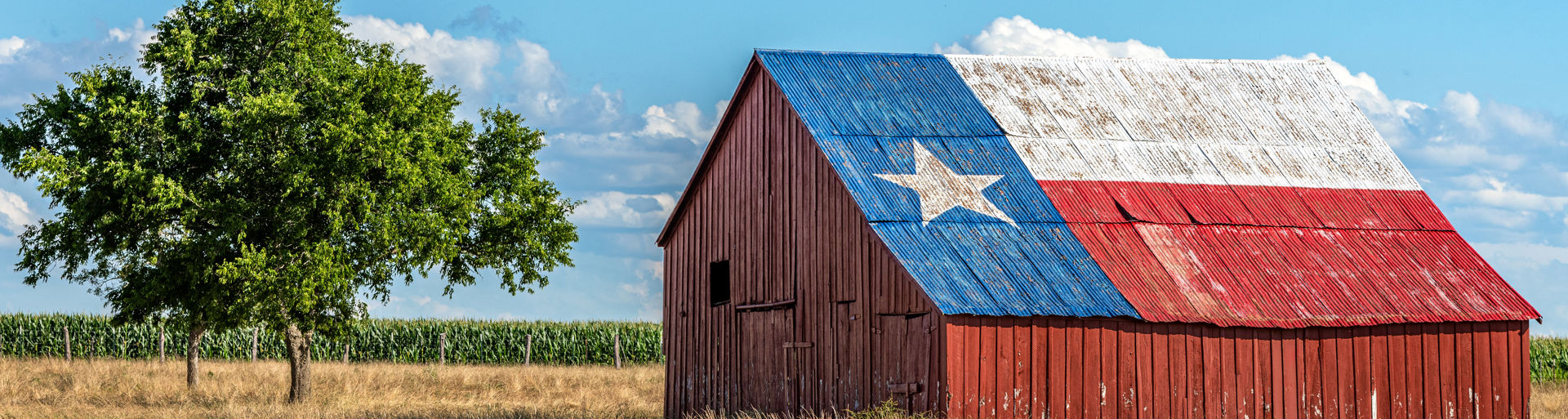 Shutterstock 1870505905